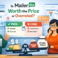 An informative illustration about Is MailerLite Worth the Price or Overrated?